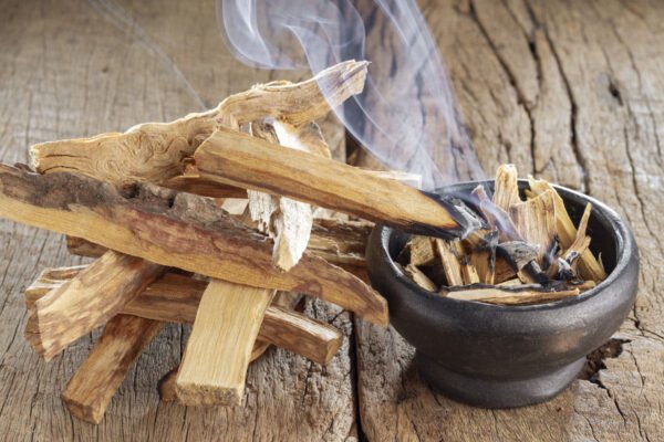 Palo Santo "Bois Sacré" (sachet de 10 à 15g)